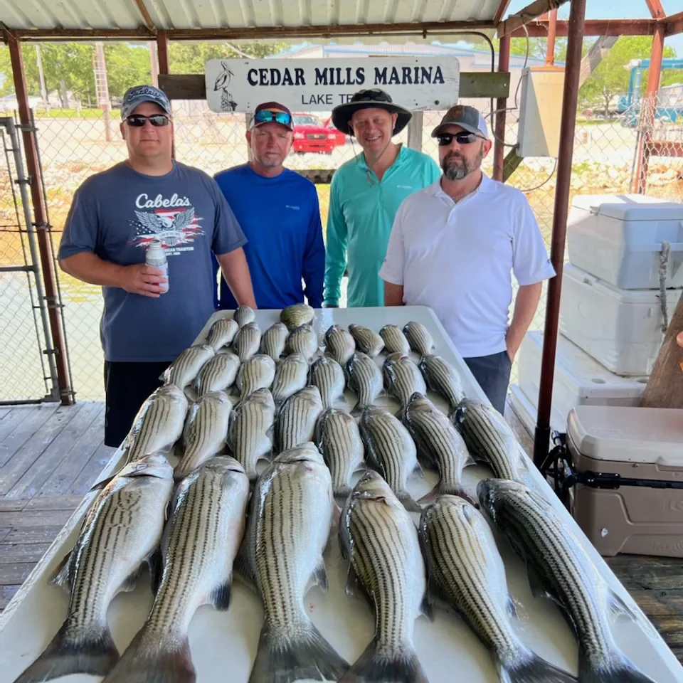 Four fishermen with catch at Cedar Mills Marina.